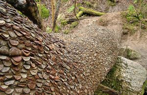 дърво на парите