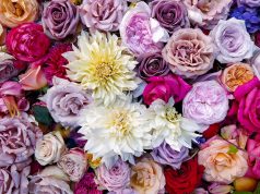 Основни съвети за пазаруване на цветя онлайн