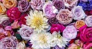 Основни съвети за пазаруване на цветя онлайн